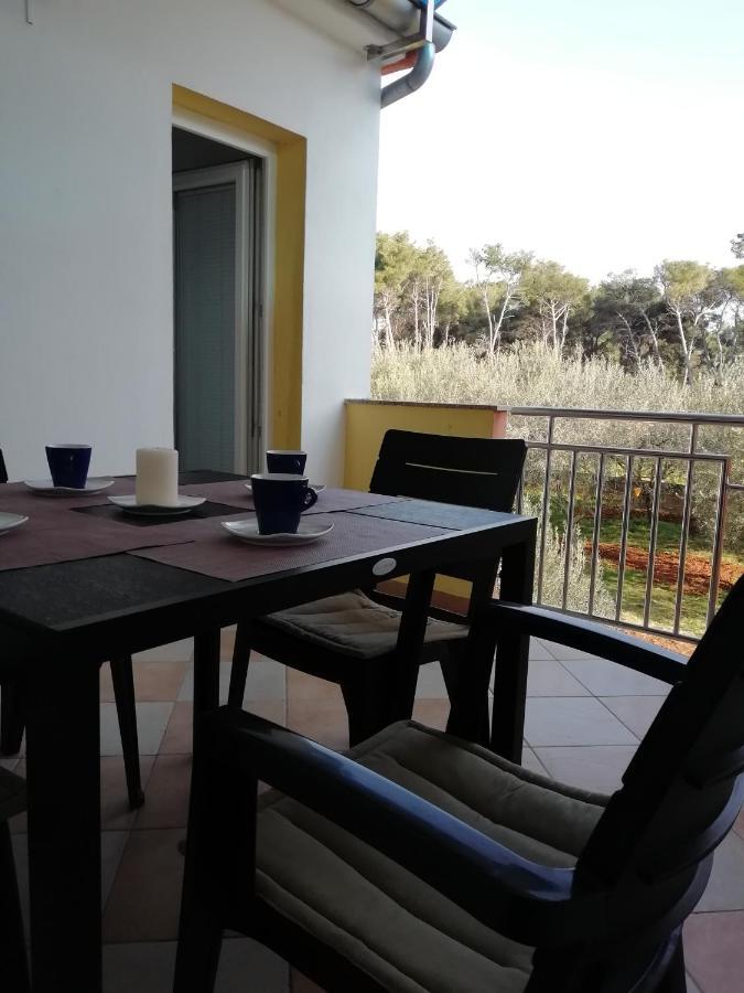 Apartman Ines Bibinje Exterior foto